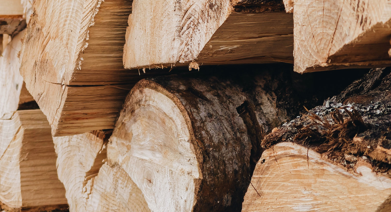 Locally Sourced Firewood Logs Newbury, Berkshire Log Squad